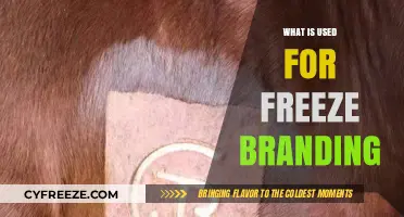 Freeze Branding Essentials: Tools and Techniques for Livestock Identification