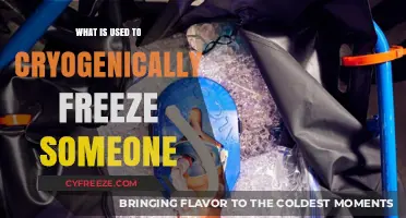 Cryogenic Freezing Explained: The Science and Methods Behind Human Preservation