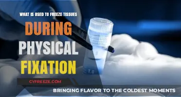 Cryogenic Techniques: Freezing Tissues for Physical Fixation in Research