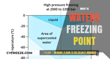 Understanding Water's Freezing Point: Science Behind Ice Formation Explained