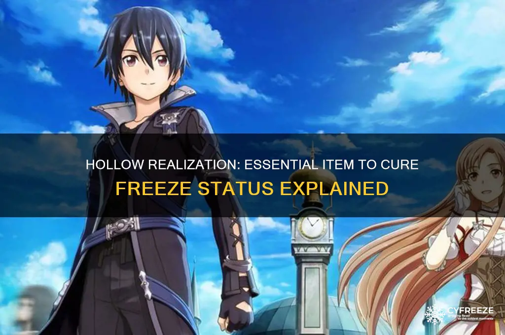 what item is used to cure freeze in hollow realization