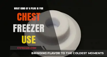 Choosing the Right Plug for Your Chest Freezer: A Comprehensive Guide