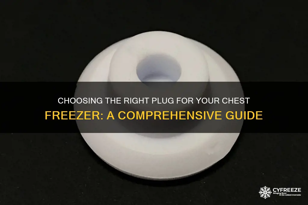 what kind of a plug is for chest freezer use