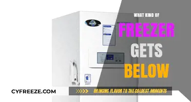 Ultra-Cold Freezers: Which Models Reach Sub-Zero Temperatures Efficiently?