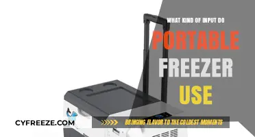 Portable Freezer Power Sources: Understanding Input Options for On-the-Go Cooling