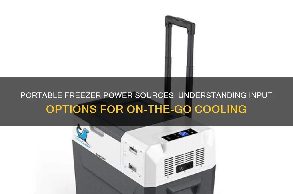 what kind of input do portable freezer use
