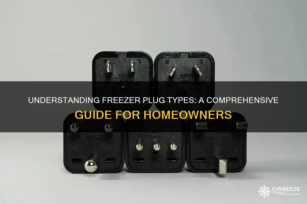 what kind of plug does a freezer use