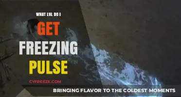 Unlocking Freezing Pulse: Discover the Required Level in Path of Exile