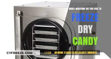 From Sugary Delights to Frozen Treats: The Art of Candy Freeze Drying
