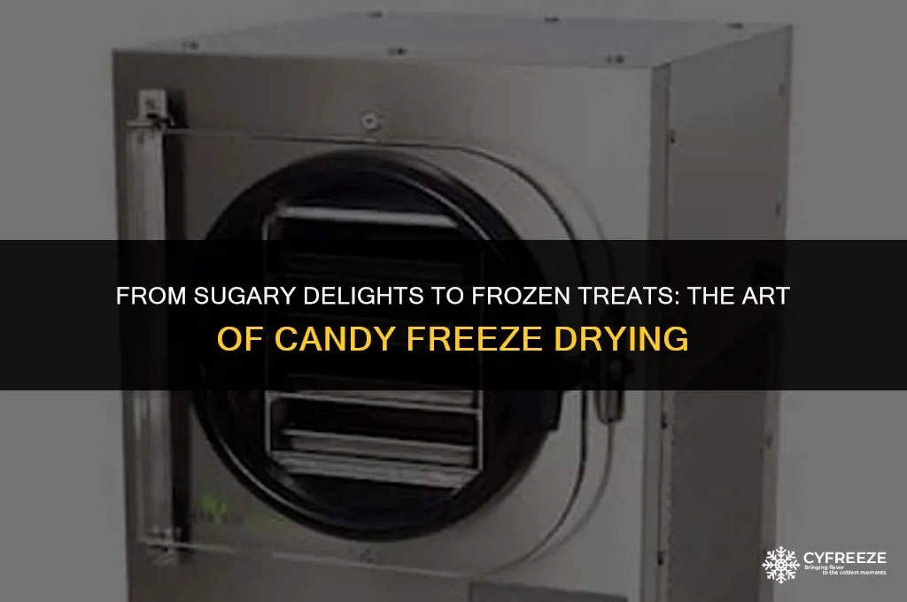 what machine do you use to freeze dry candy