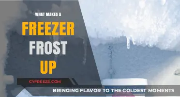 Chill Factors: Understanding the Causes of Freezer Frost Buildup