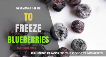 How to Freeze Blueberries: Best Methods for Freshness and Flavor
