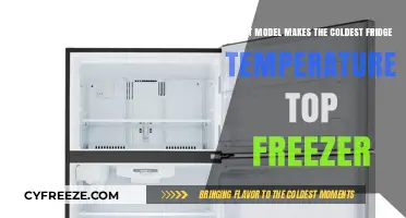 Top Freezer Models: Which One Reaches the Coldest Temperature?