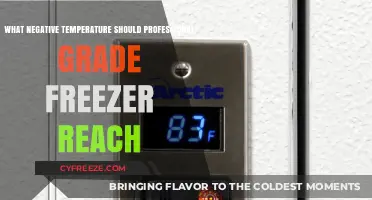 Optimal Professional Freezer Temperatures: How Cold is Too Cold?