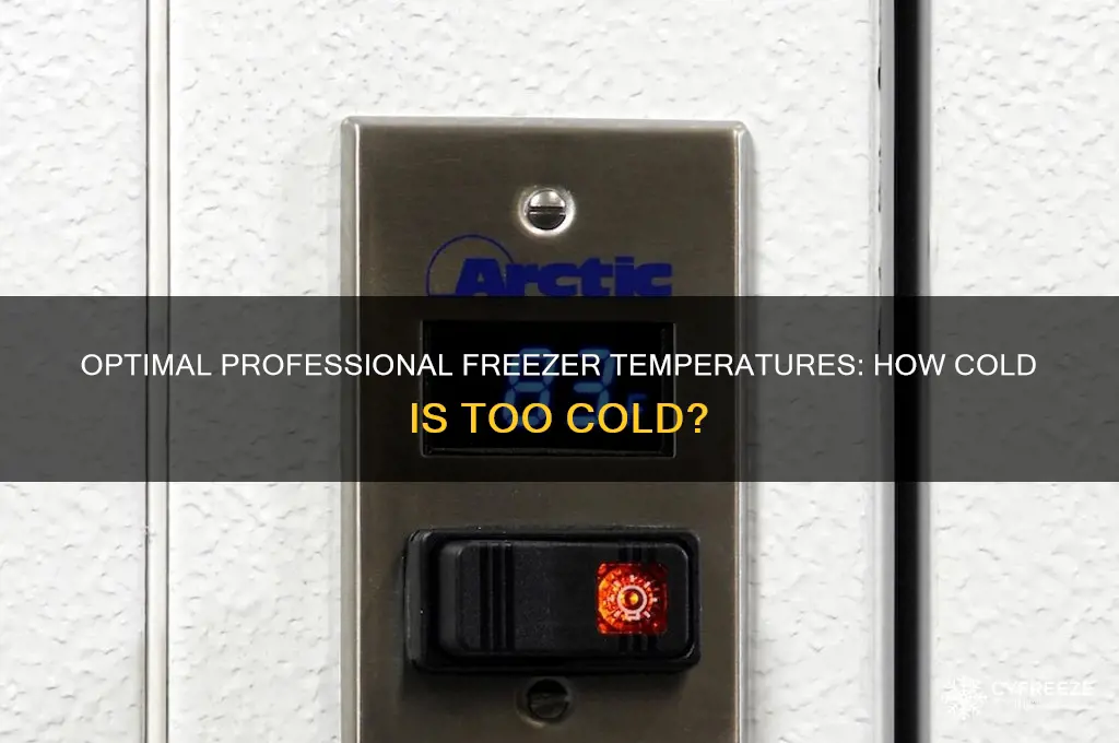 what negative temperature should professional grade freezer reach