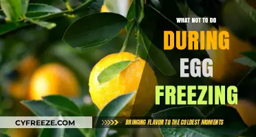 Mistakes to Avoid: A Guide to Egg Freezing Do's and Don'ts