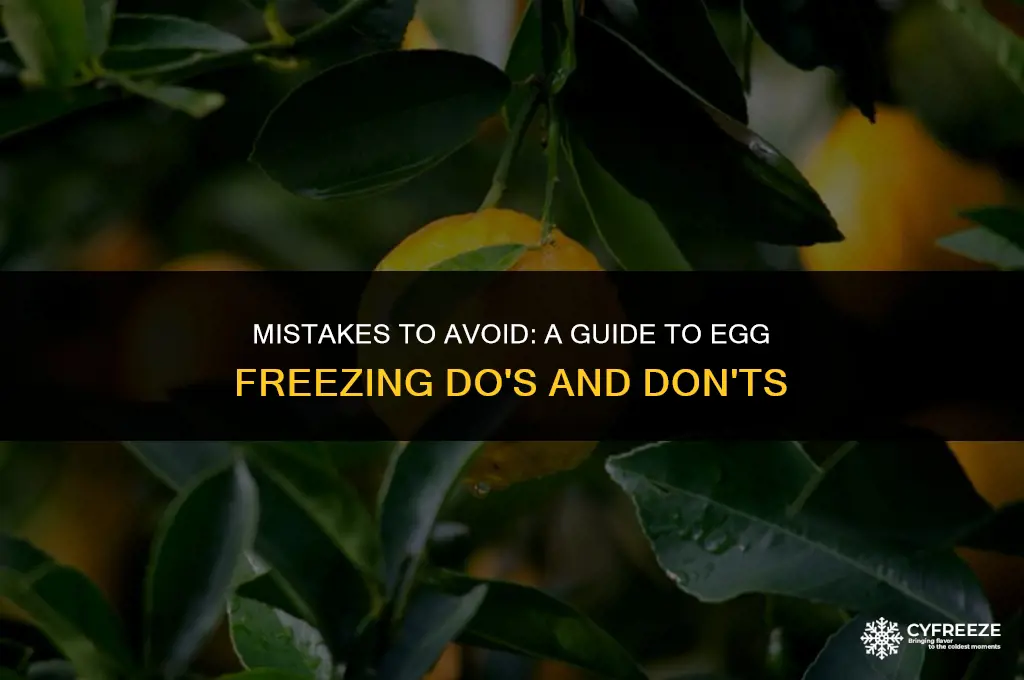 what not to do during egg freezing