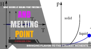 Exploring Phase Transitions: Boiling, Freezing, and Melting Points Explained