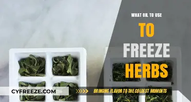 Best Oils for Freezing Herbs: A Complete Guide to Preservation