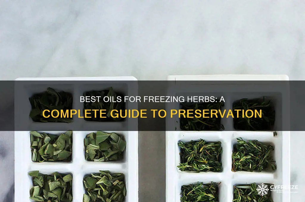 what oil to use to freeze herbs