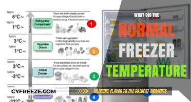 Optimal Freezer Temperature: What’s Normal for Food Safety and Efficiency