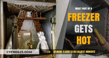 Why Freezer Coils Heat Up: Understanding Your Appliance's Hot Spots
