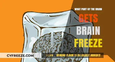 Brain Freeze Unveiled: Exploring the Neural Culprit Behind the Chill