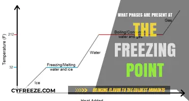 Understanding the Phases Present at the Freezing Point of Matter