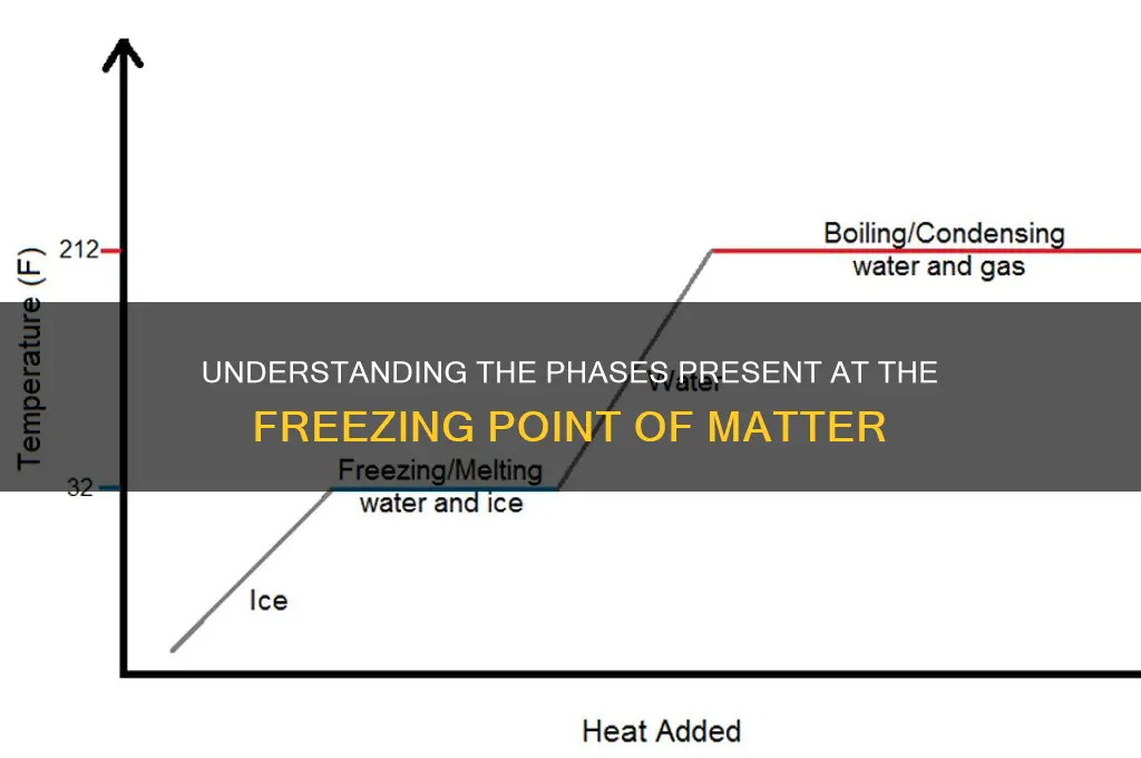 what phases are present at the freezing point