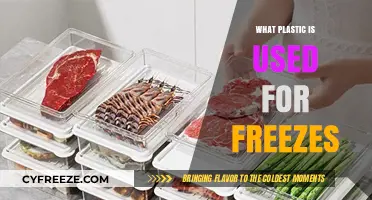 Best Plastic Types for Freezing Food Safely and Effectively