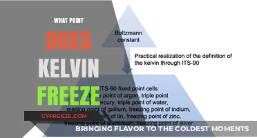 Understanding the Exact Point Where Kelvin Scale Reaches Freezing