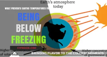 Earth's Warmth: Factors Preventing Global Temperatures from Freezing