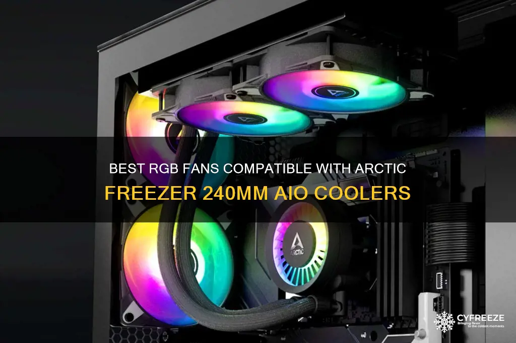 what rgb fans can be used for arctic freezer 240mm