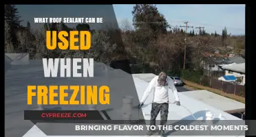 Best Roof Sealants for Freezing Temperatures: Winter-Ready Protection