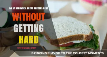 Best Sandwich Breads for Freezing: Soft and Fresh Every Time