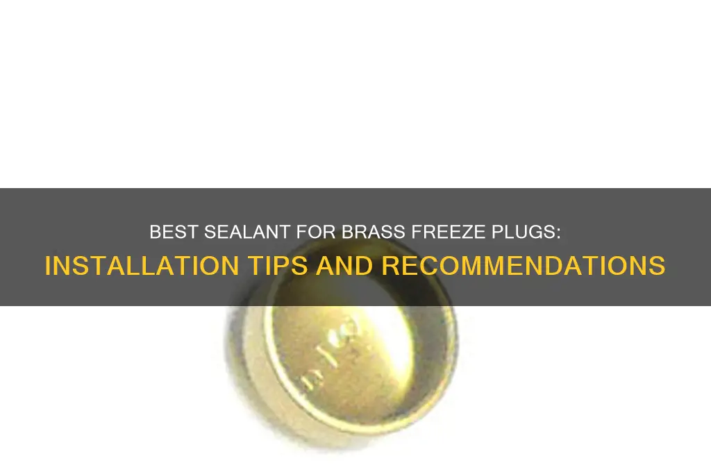 what sealant to use when installing brass freeze plugs