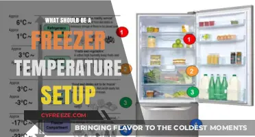 Optimal Freezer Temperature Setup: A Guide to Food Safety and Preservation