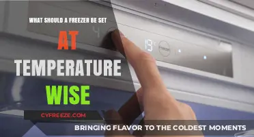 Optimal Freezer Temperature: Best Settings for Food Safety and Efficiency