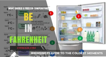Ideal Freezer Temperature in Fahrenheit: A Quick Guide