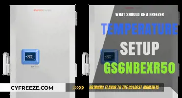 Optimal Freezer Temperature Setup for GS6NBEXR502: A Comprehensive Guide