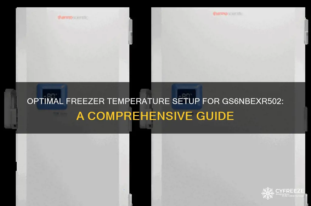 what should be a freezer temperature setup gs6nbexr502