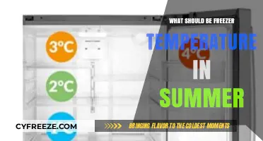 Optimal Freezer Temperature Tips for Summer Food Preservation