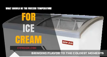 Perfect Ice Cream Freezer Temperature: Tips for Creamy, Scoopable Bliss