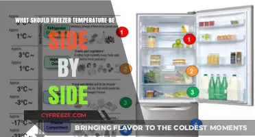 Optimal Side-by-Side Freezer Temperature for Food Safety and Efficiency
