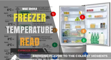 Optimal Freezer Temperature: What Should Your Freezer Read?