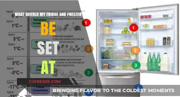 Optimal Temps: A Guide to Perfect Fridge and Freezer Settings