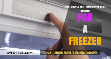 Optimal Freezer Temperature Guide: Precise Number Settings for Food Safety