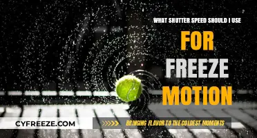 Mastering Freeze Motion: Choosing the Perfect Shutter Speed for Crisp Shots
