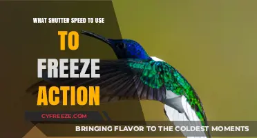 Mastering Shutter Speed: Freeze Action with Precision Techniques