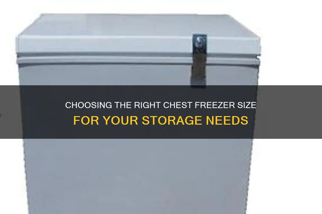 what size chest freezer should i get